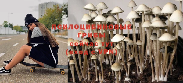 гашик Армянск