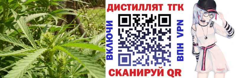 Дистиллят ТГК жижа  купить закладку  Салаир 