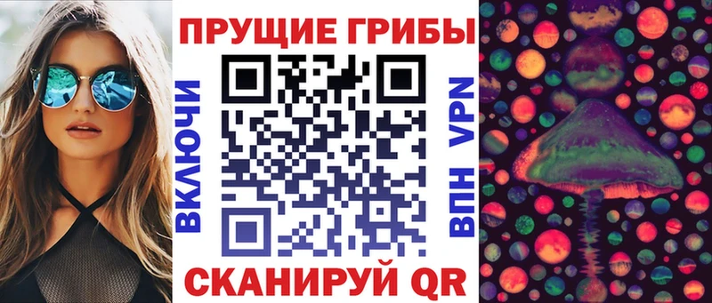купить наркоту  Салаир  Галлюциногенные грибы GOLDEN TEACHER 
